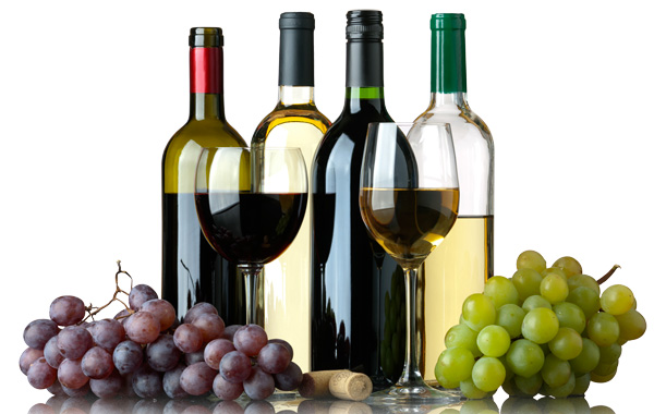 Festival del Vino y las Exquisiteces