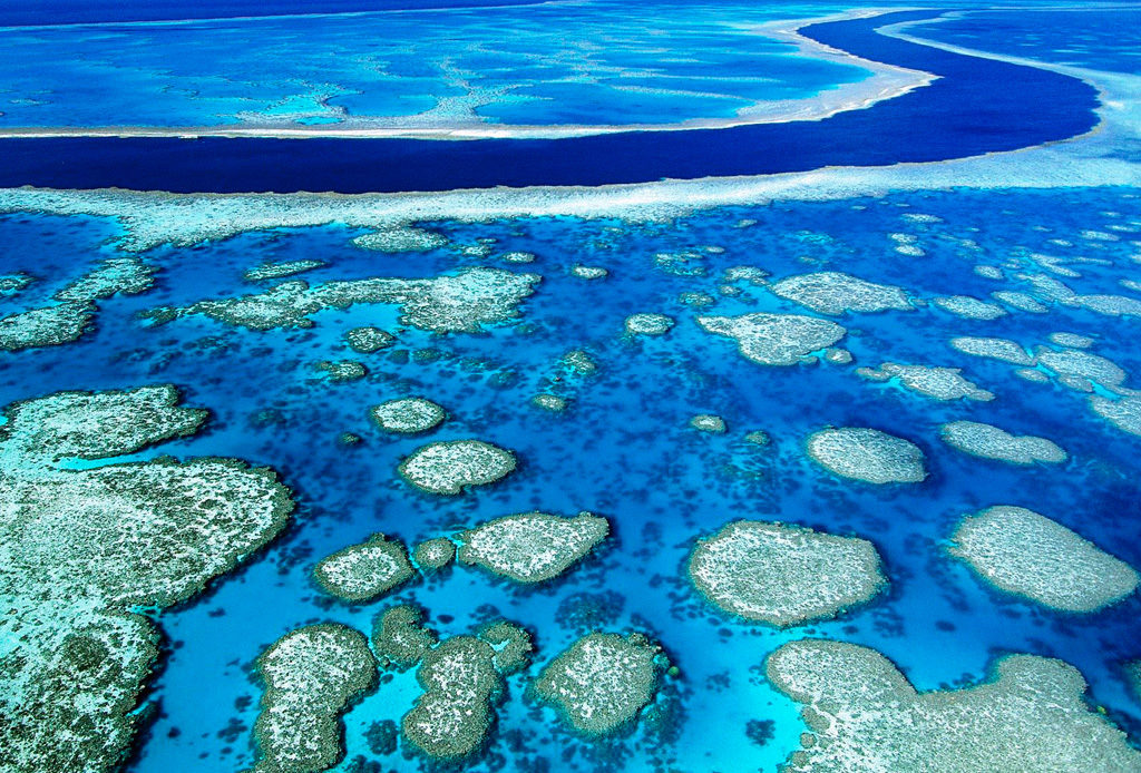 Tienes que conocer estos 10 lugares antes de que desparezcan - coral-1024x694