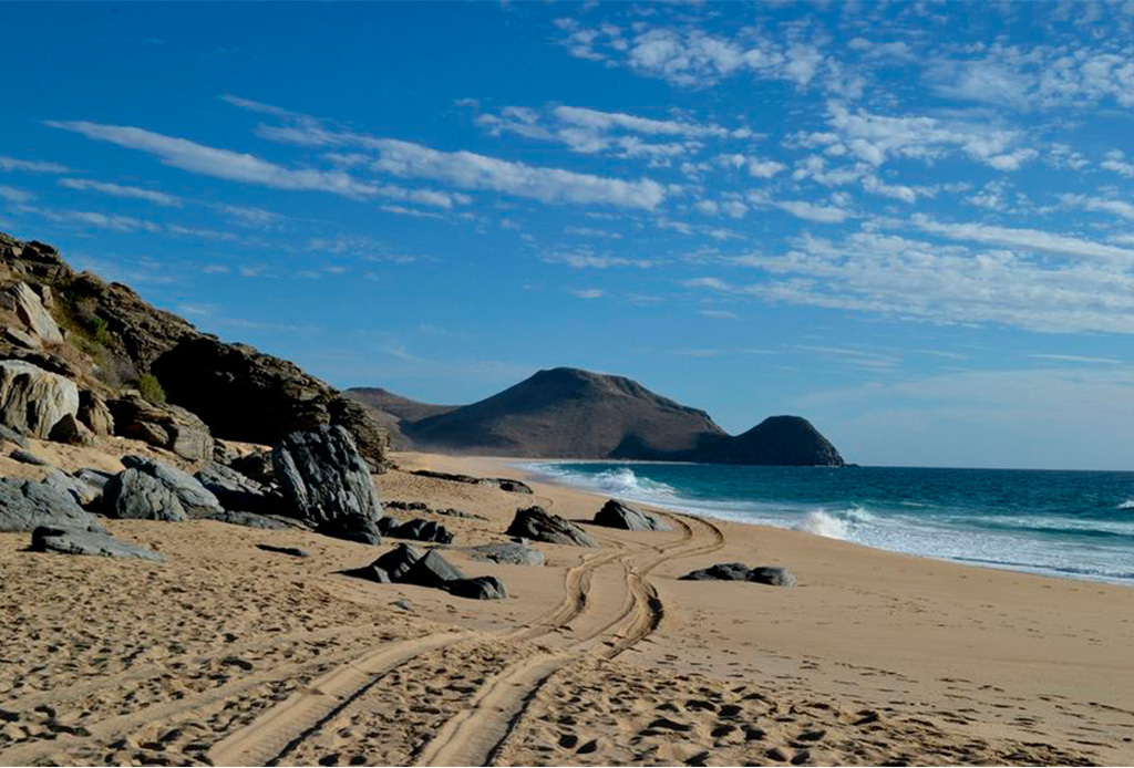 Las mejores playas vírgenes de México - playa-todos-santos