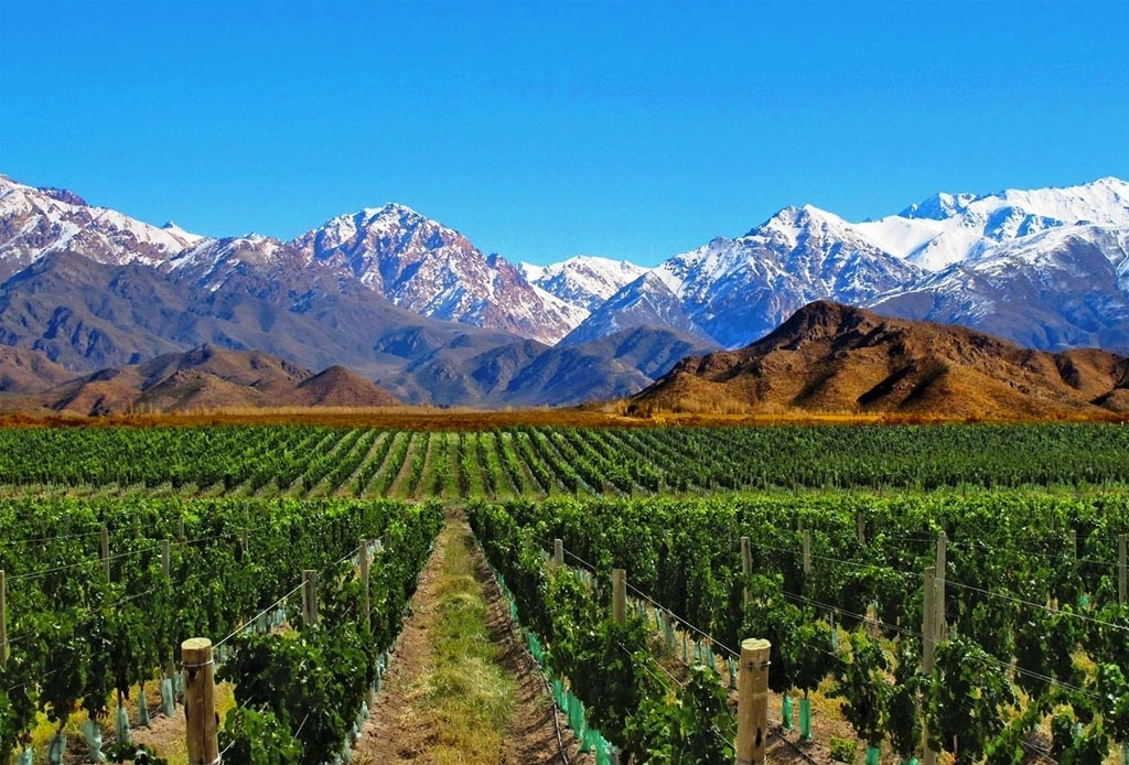 Las Ruta Del Vino En Argentina Para Verdaderos Conocedores