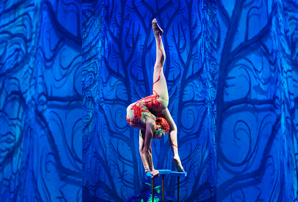 Ahora puedes proponer matrimonio con la ayuda del Cirque du Soleil - v-2
