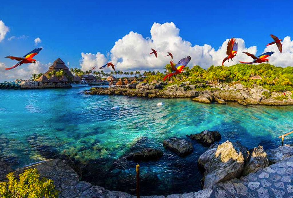 5 tours alternativos que puedes hacer en la Riviera Maya y nunca te imaginaste