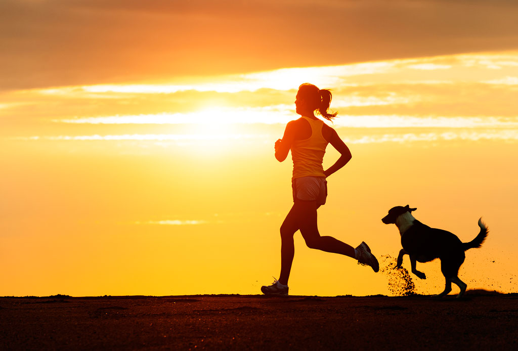 Necesitas saber esto antes de salir a correr con tu perro en temporada de calor - perro-correr-calor-2