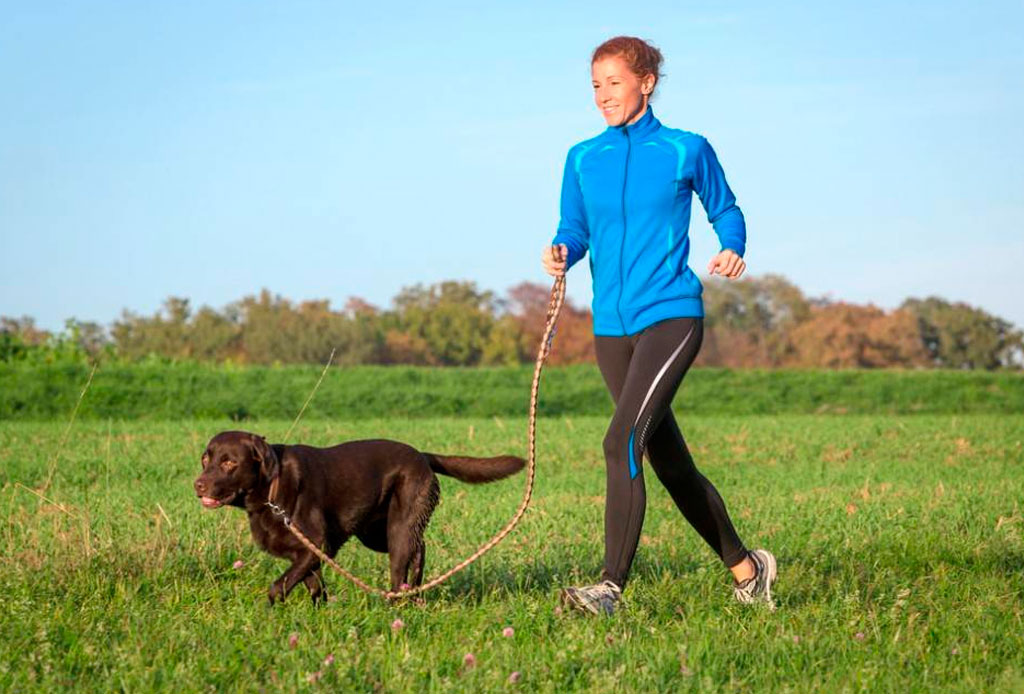 Necesitas saber esto antes de salir a correr con tu perro en temporada de calor - perro-correr-calor