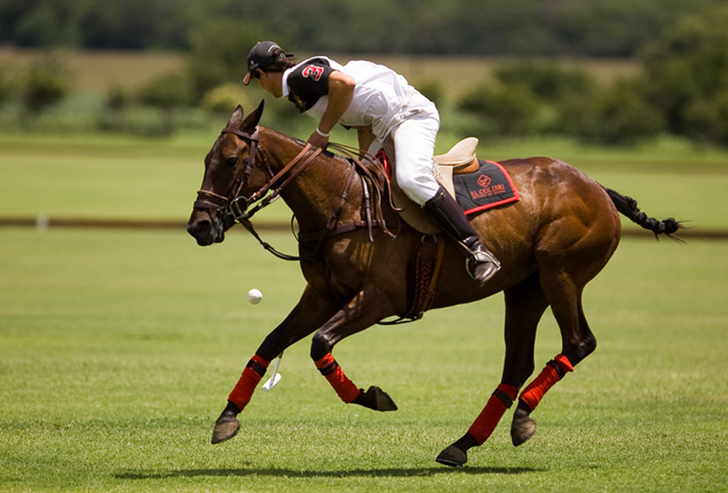 Happenings: ¡Amantes del polo! Llega la tercera edición del Handicap  Classic Statton Polo Club México 2018