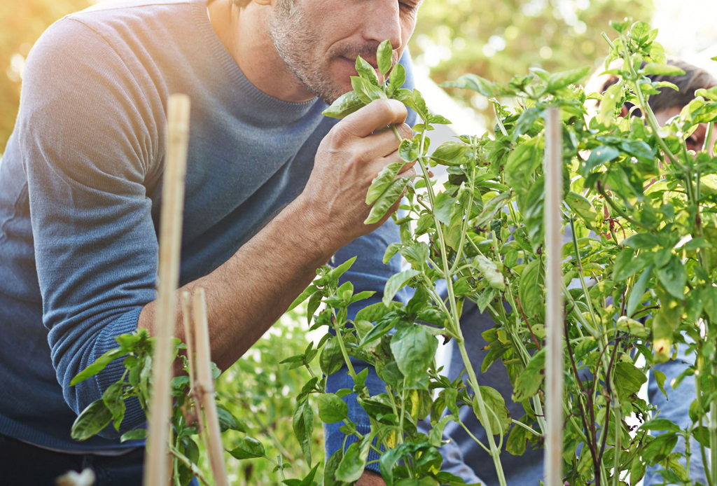 ¿Sabías que oler comida puede ayudarte a adelgazar?
