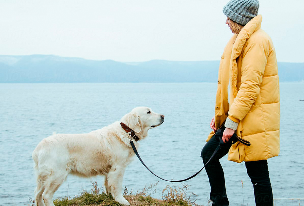 7 pasos para educar a tu perro a que camine/corra a tu lado - caminar-con-perro-2