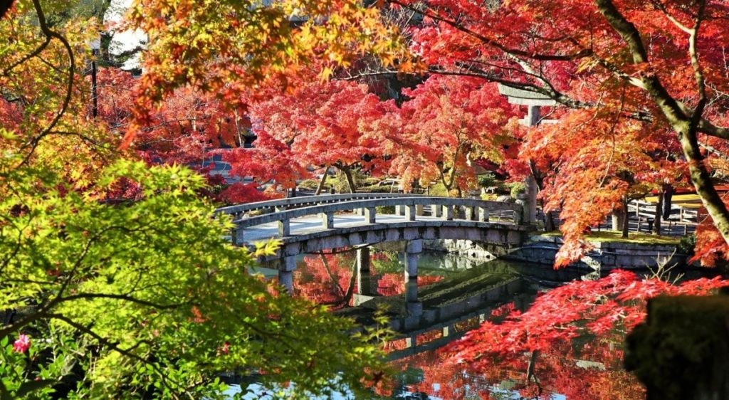 Los mejores lugares para visitar durante otoño
