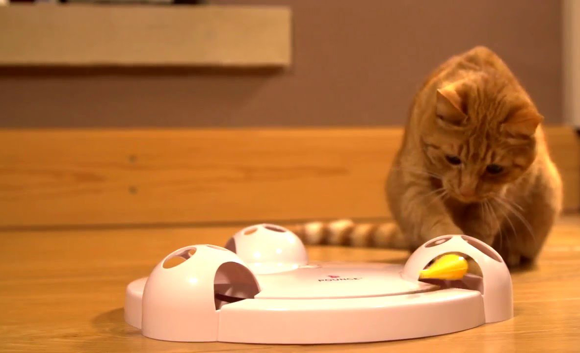 Los mejores gadgets para los pet lovers