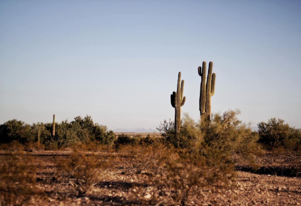 Los 4 mejores hot spots de Arizona para un roadtrip imperdible Los 4 mejores hot spots de Arizona para un roadtrip imperdible - disencc83o-sin-titulo-9-2