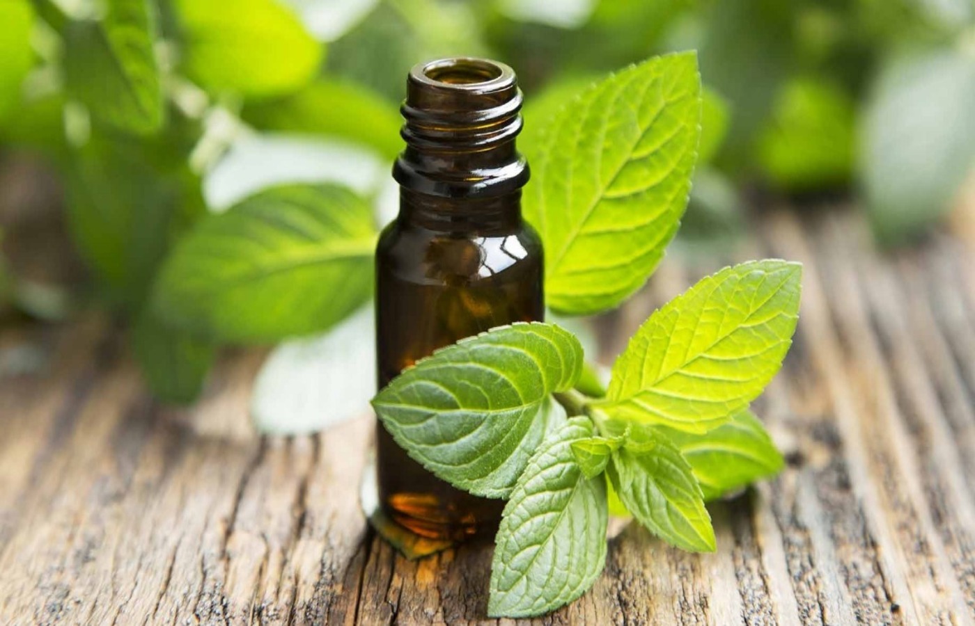 5 remedios naturales para aliviar las alergias estacionales - menta