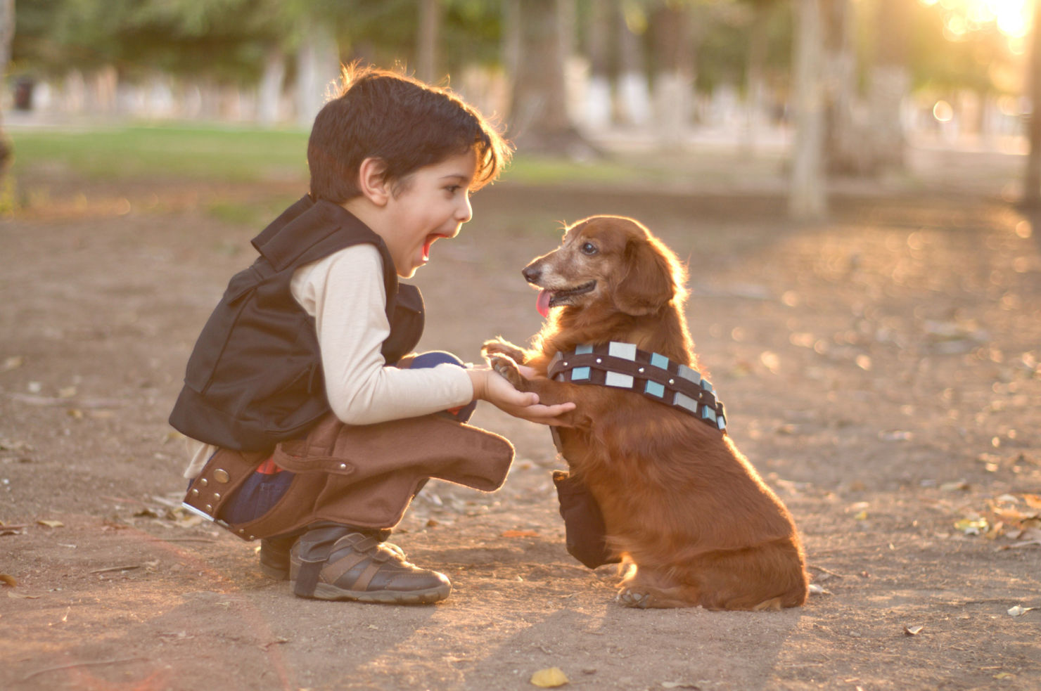 5 Razones por las que deberías adoptar una mascota con tus hijos