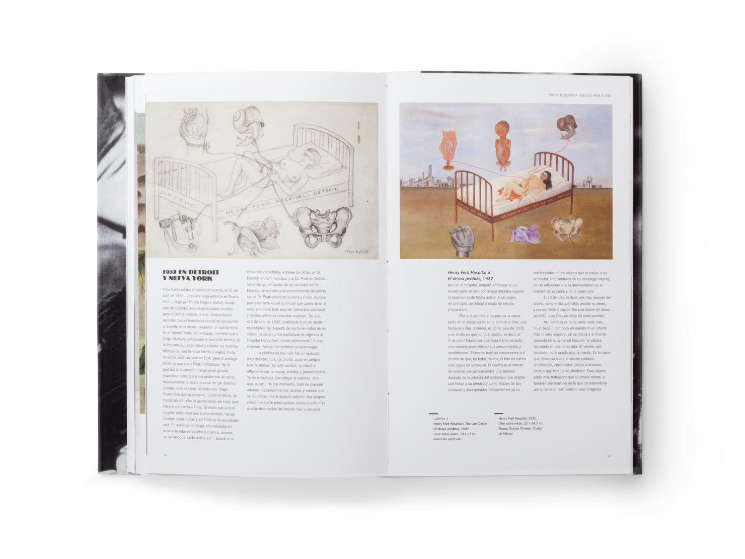 Los sueños de Frida: el mejor libro de la artista que también es una obra de arte - 10-libro-estudios-abierto
