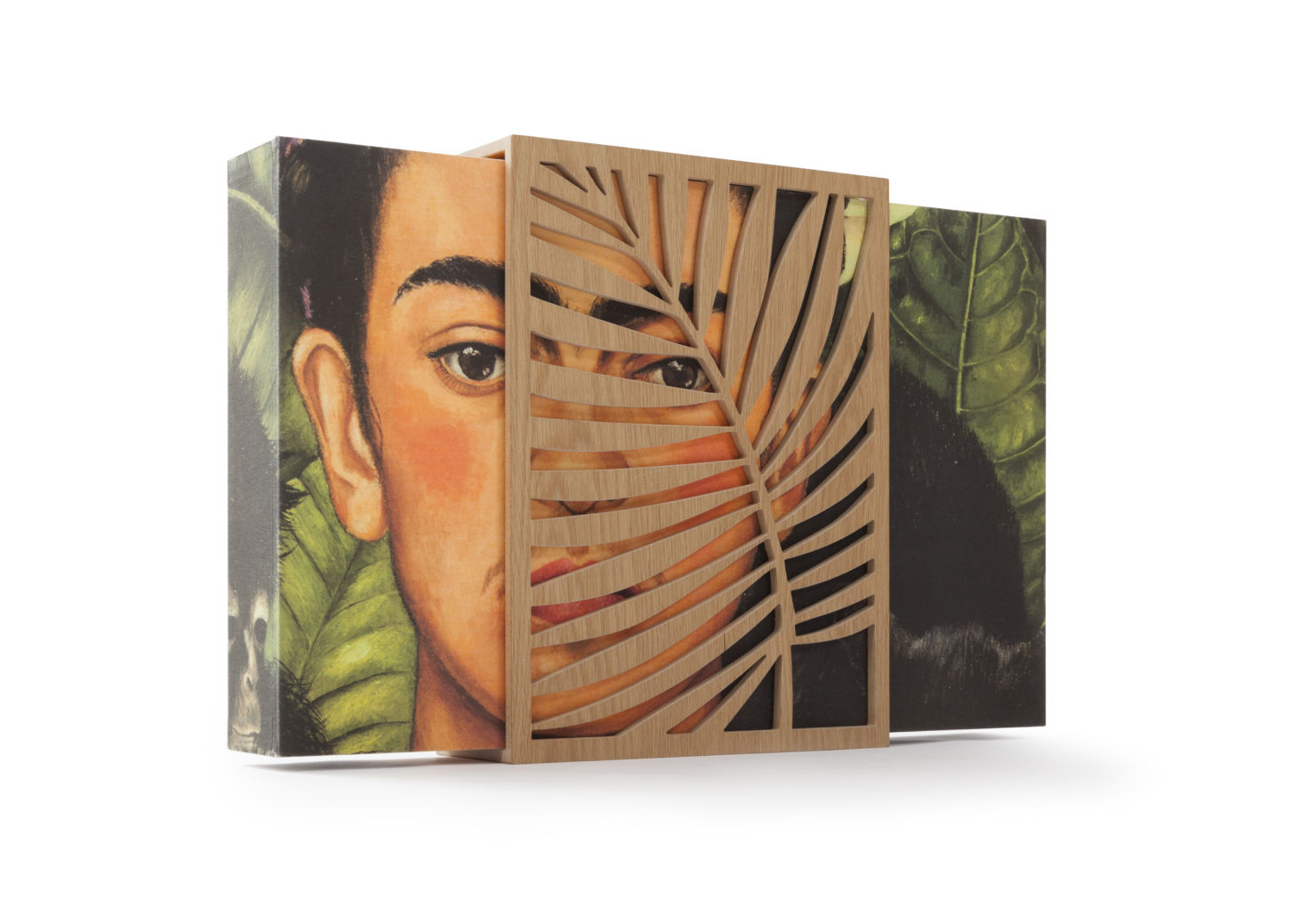 Los sueños de Frida: el mejor libro de la artista que también es una obra de arte - 17-estuche