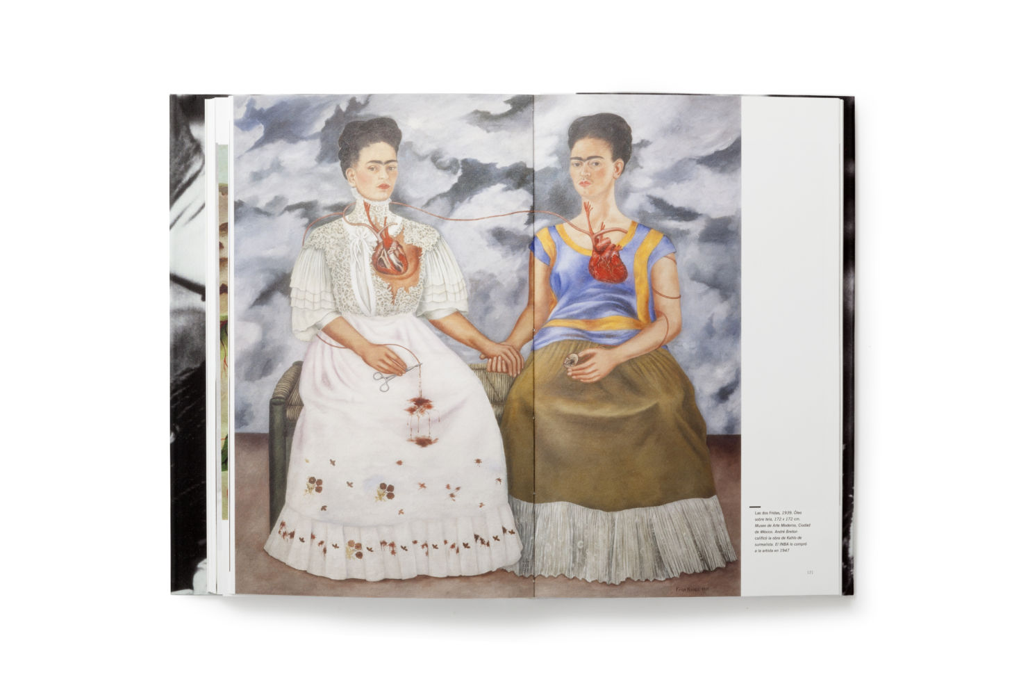 Los sueños de Frida: el mejor libro de la artista que también es una obra de arte - 37-libro-estudios
