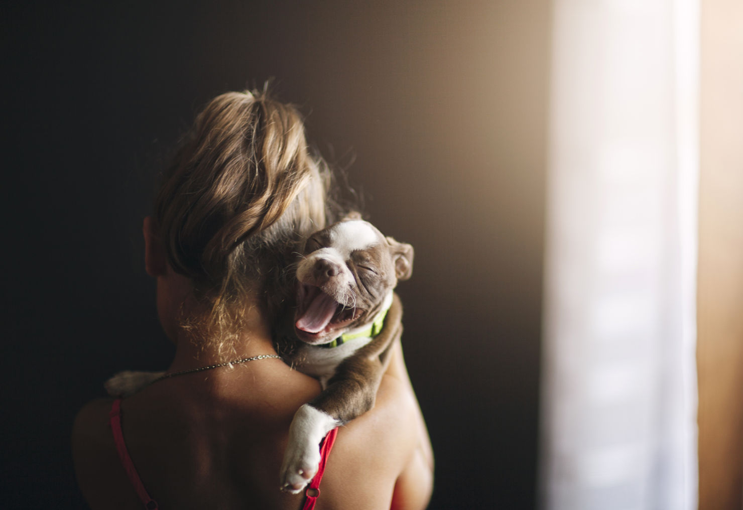 5 cosas que puedes hacer todos los días para hacer a tu perro el más feliz
