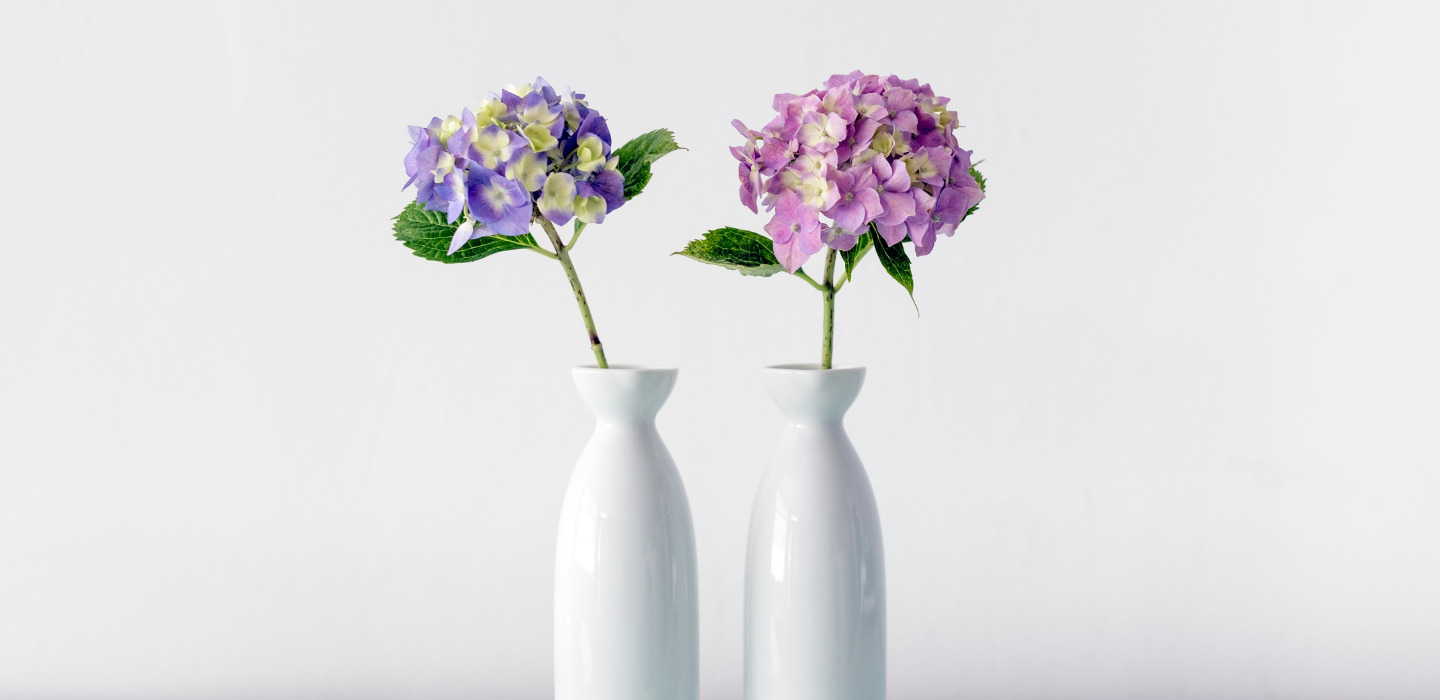 5 consejos fáciles para conservar tus flores más tiempo