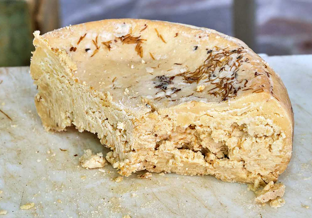 Casu Marzu: el queso más peligroso del mundo prohibido en muchos países - casu-marzu