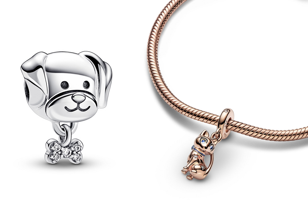 Joyería bonita de tu mascota para llevarlos contigo a todos lados