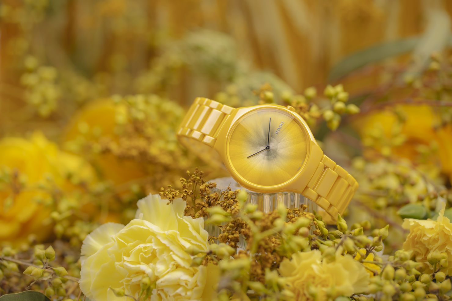 Rado presenta su nueva colección de relojes inspirada en las estaciones