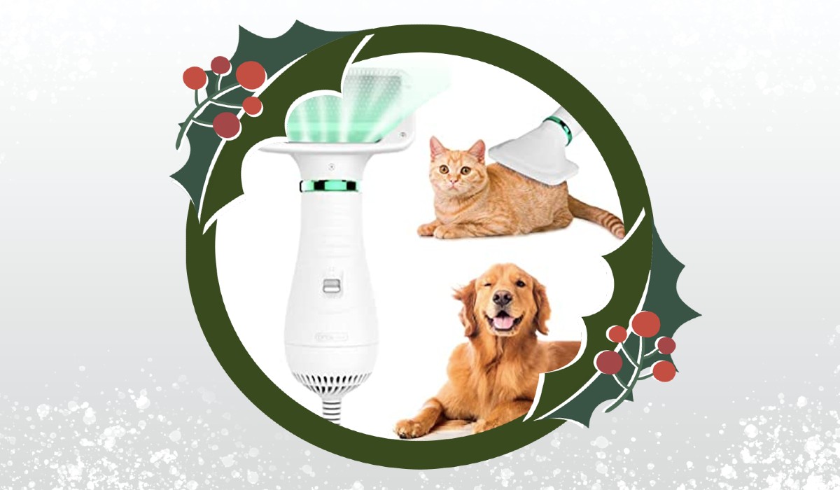 Guía de regalos para tus mascotas Guía de regalos para tus mascotas - secador