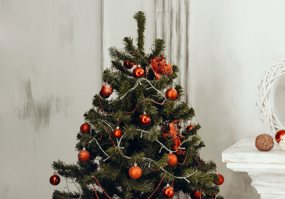 ¿Comerse el Árbol de Navidad? ¡Es posible! Te decimos cómo usarlo para no tirarlo