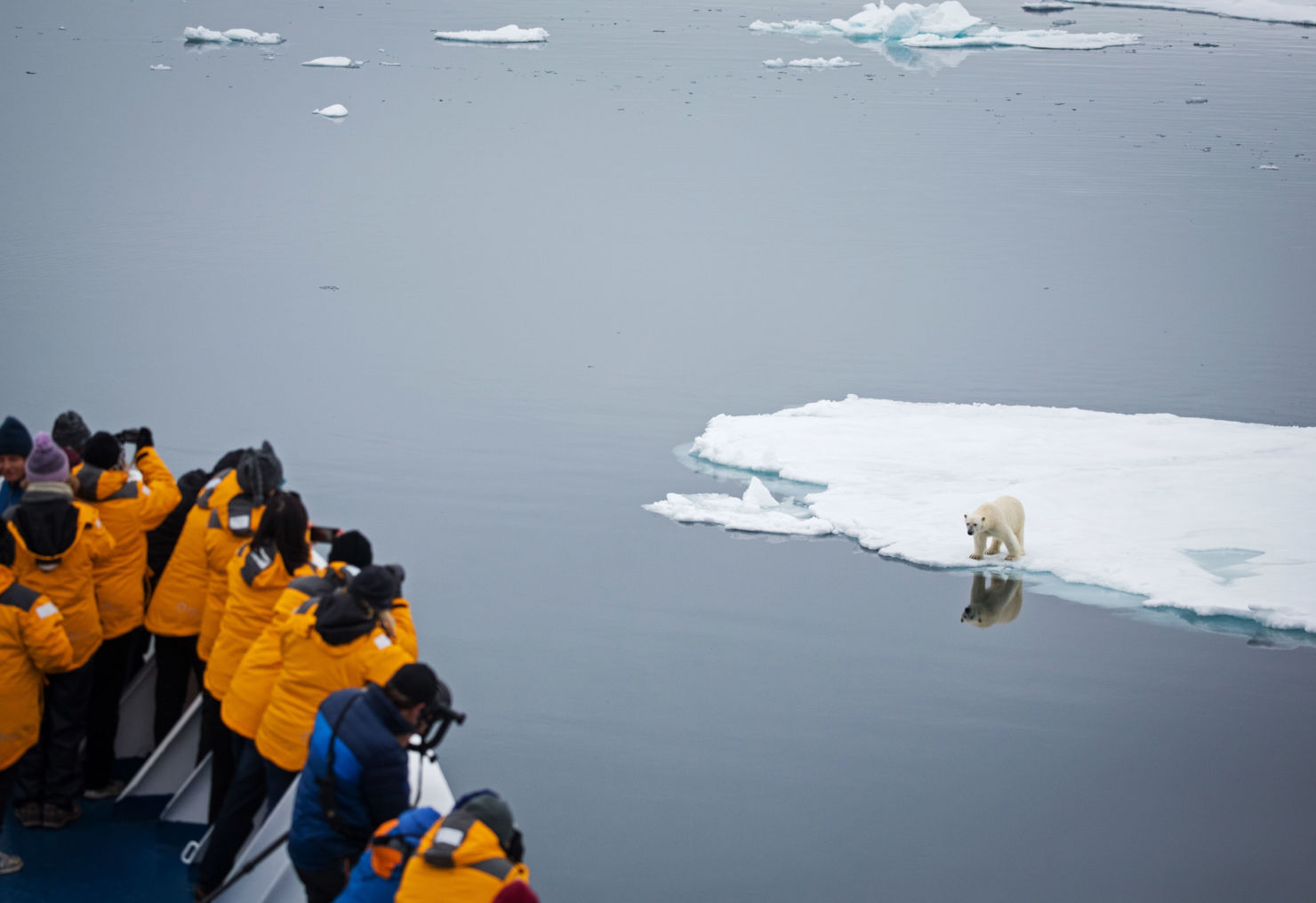 La ciudad al fin del mundo: Svalbard, el reino de los osos polares en el Ártico - q8n3l1-d