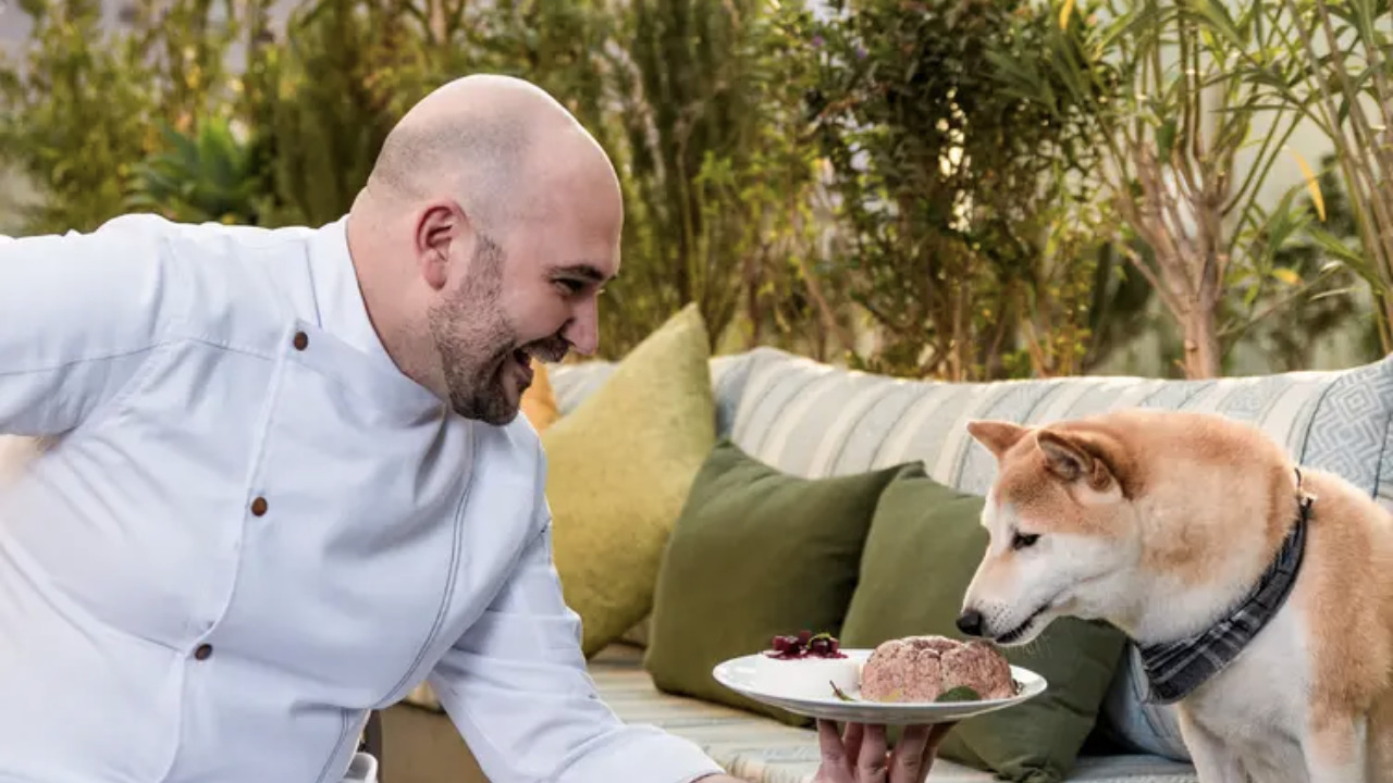 5 restaurantes dog-friendly populares en CDMX