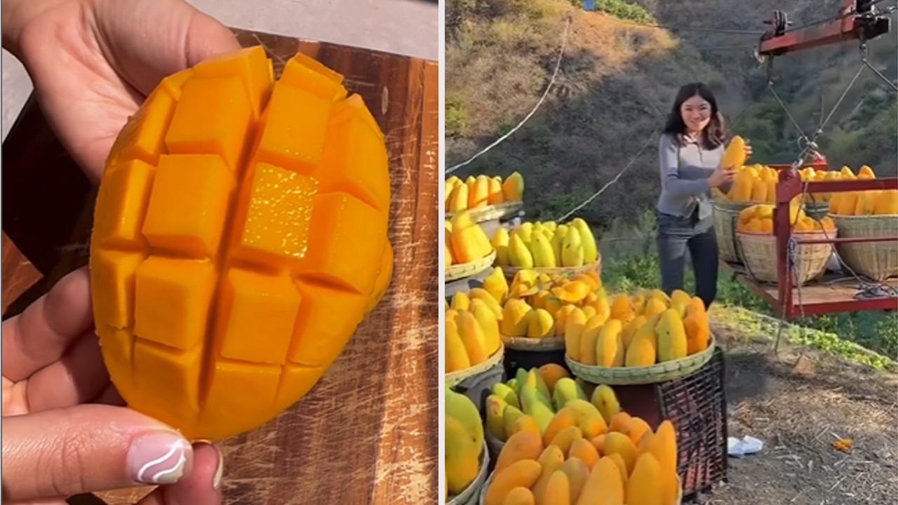 Tailandia ha creado el mango “perfecto” sin hueso, jugoso y muy dulce