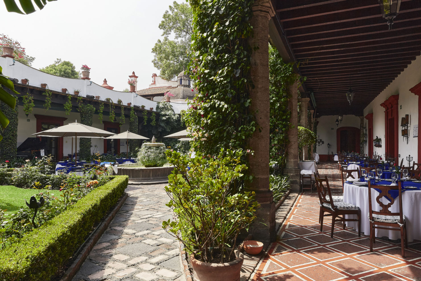 San Ángel Inn cumple 60 años como un ícono de la gastronomía de la CDMX San Ángel Inn cumple 60 años como un ícono de la gastronomía de la CDMX - jpark-sanangelinn-mayo-5