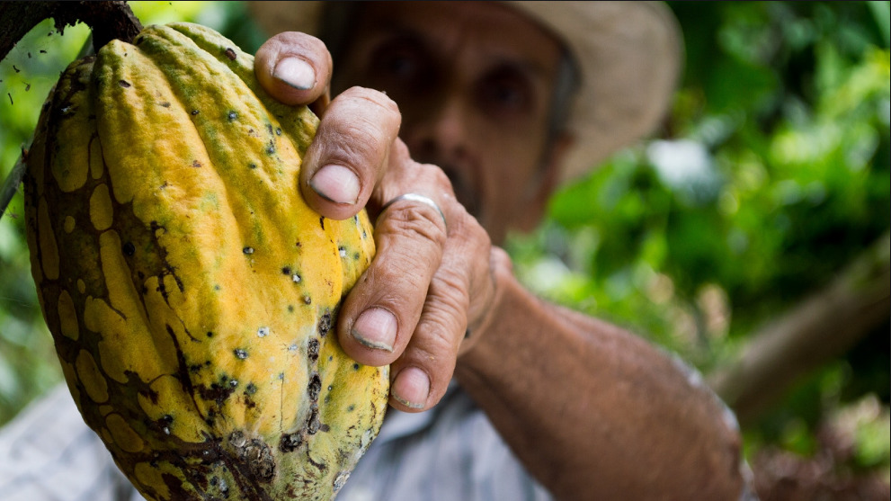 Estados de México que producen delicioso chocolate - captura-de-pantalla-2023-10-23-062834