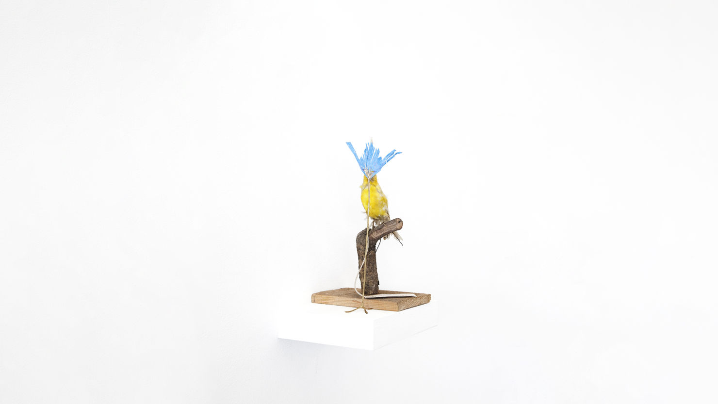 Estas son las exposiciones abiertas en la CDMX durante noviembre Estas son las exposiciones abiertas en la CDMX durante noviembre - petrit-halijah