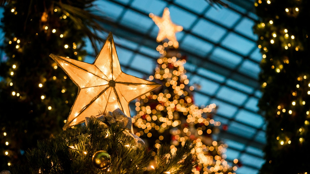 Cuando vayas de shopping no olvides visitar los hermosos árboles de Navidad