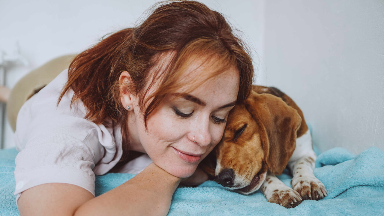 Petzer lanza consultas veterinarias online para cuidar de tus mascotas