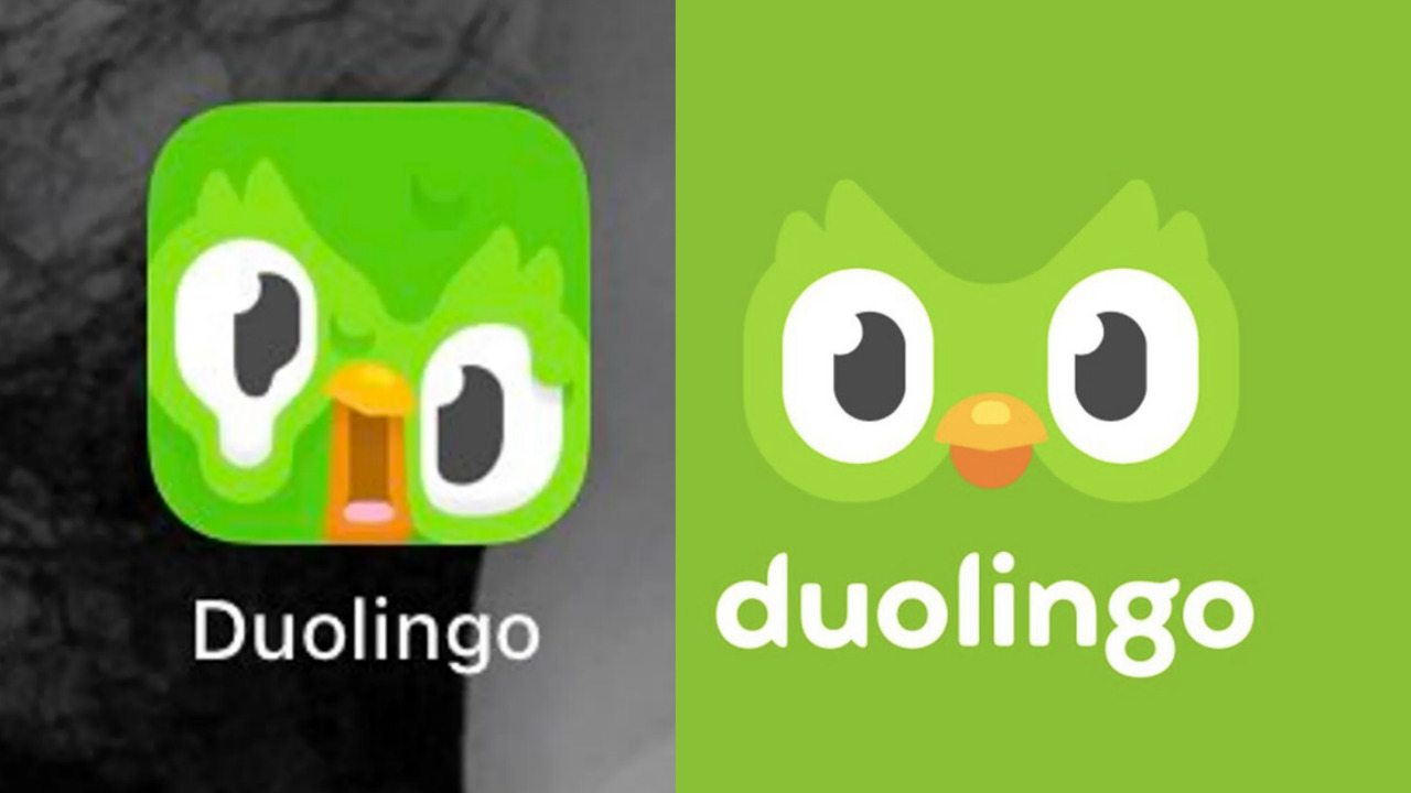 ¿Sabías que la app de Duolingo se derrite si no la usas?
